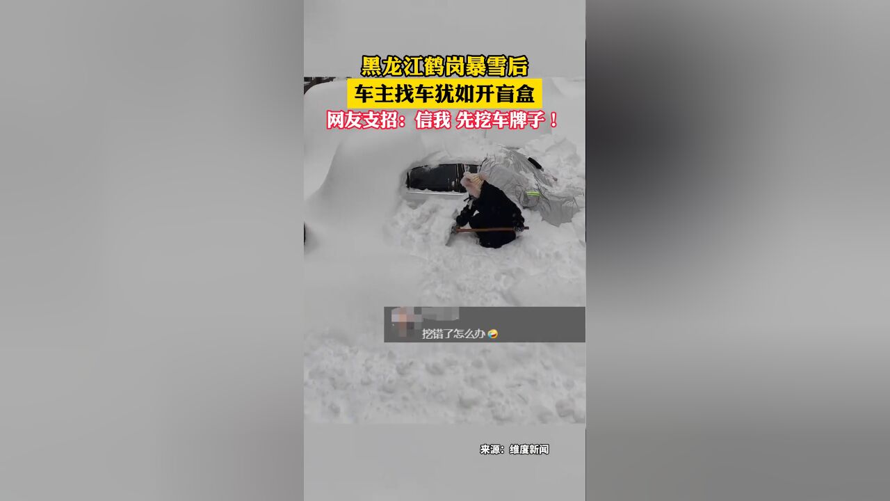 黑龙江鹤岗暴雪后车主找车如开盲盒,网友支招:信我 先挖车牌子