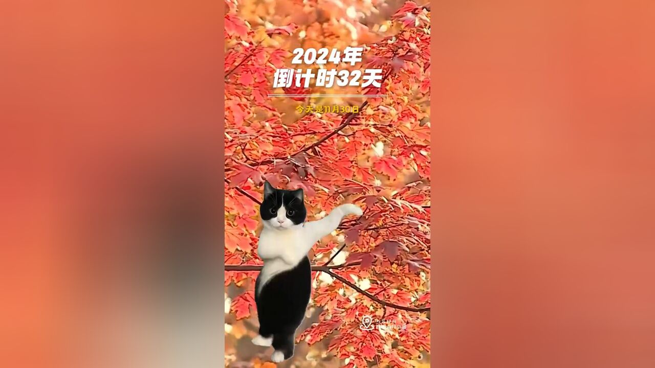 下下下下下下下下周就要过年啦!年底朋友圈文案来了