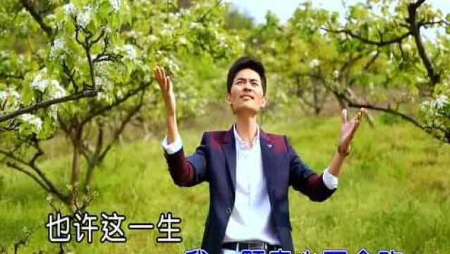 贺宣《为你等到花儿开》