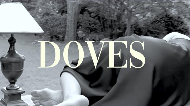 金东贤《DOVES》