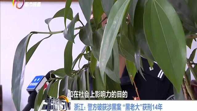 浙江:警方破获涉黑案 “黑老大”获刑14年