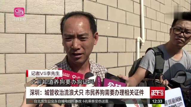 深圳 城管收治流浪犬只 市民养狗需要办理相关证件