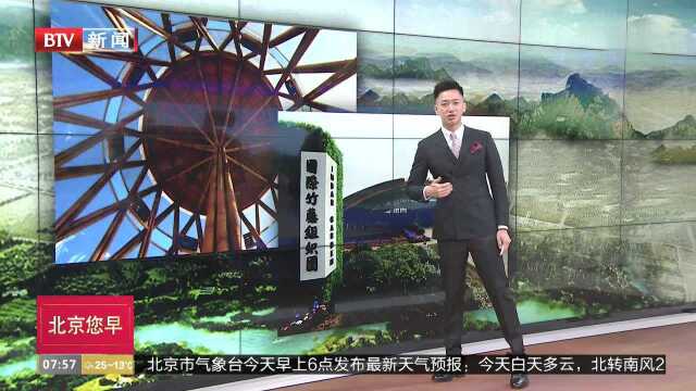 “编竹听风”空气树你听过吗?