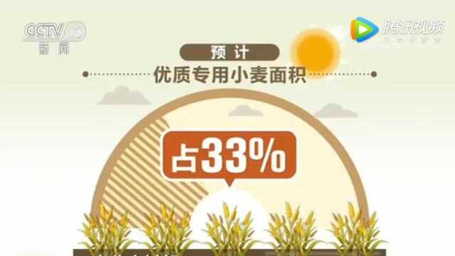 农业农村部:今年农业农村经济亮点频现