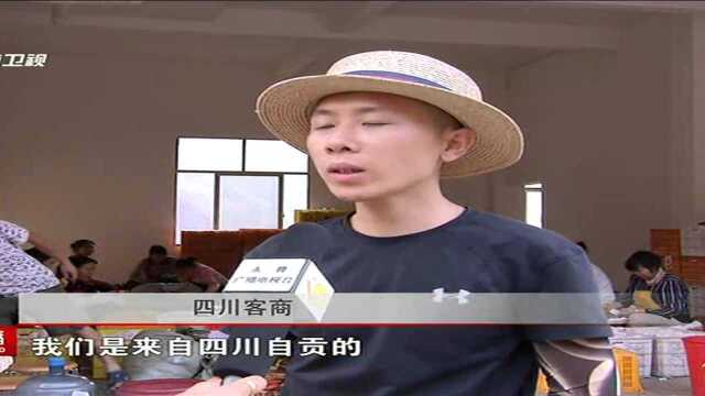 云南:高原特色水果飘香 丰收结出致富“金果”