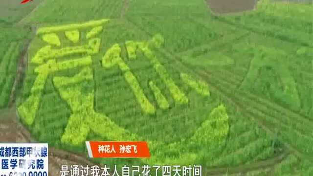 真有才!油菜地种出“爱你一万年”