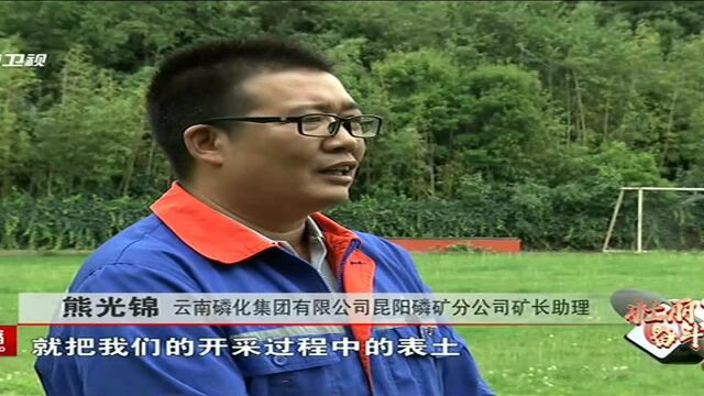 从“采空区”到“足球场”云南磷化集团的绿色矿山之路