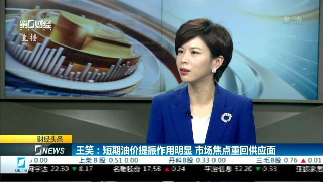 王笑:回归基本面,原油价格长期总体看好