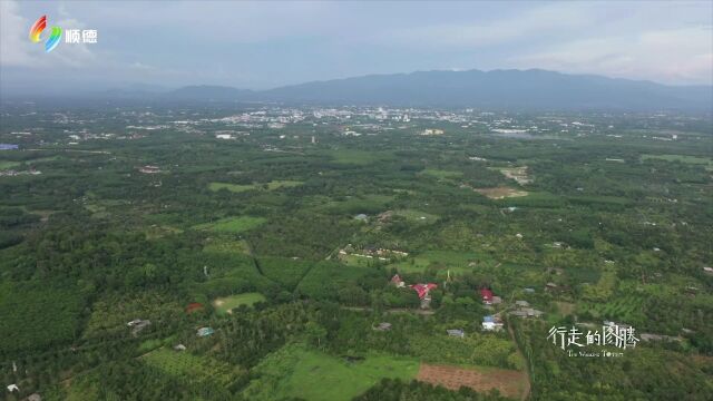 珠宝从哪里来,到哪里去?