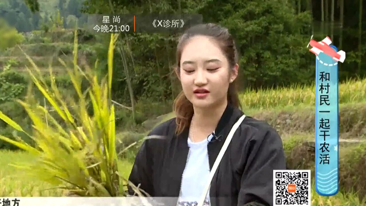 秋游爬山好地方高光片段