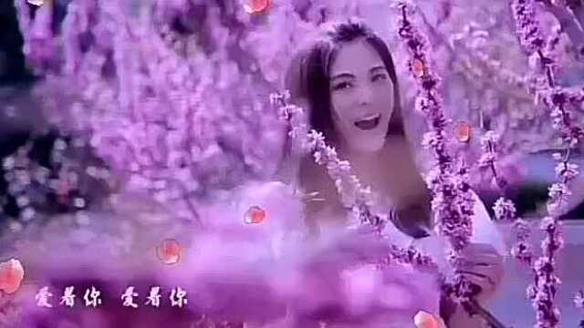 《爱的世界只有你》演唱/孟小笛 剪辑/波波