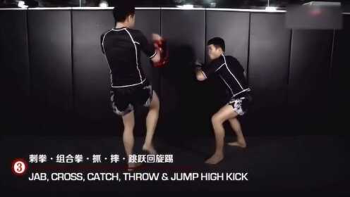 Thumbplayer Poster Plugin Image