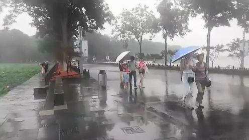 最美江南烟雨场景，伞中情