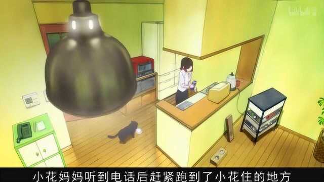 3分钟看日本动漫《她和她的猫》,连男人看了都会鼻子发酸