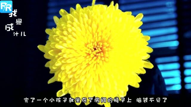 香港恐怖电影《奇幻夜》:美女弑夫失眠,换枕头遇劫难