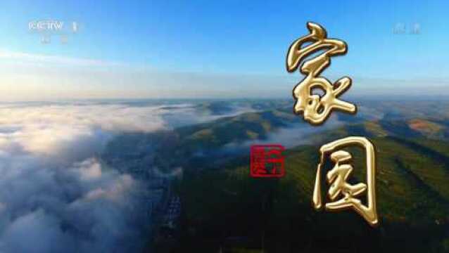 大型电视专题片《家园》第三集:美丽家园