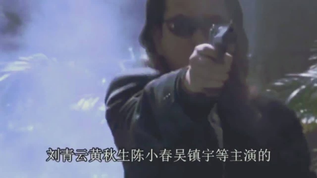 香港经典黑帮警匪枪战电影《冲锋队之怒火街头》