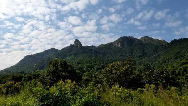 奇人打坐天心水聚,风水大师寻龙点穴,看阴宅祖坟墓地地理风水宝地