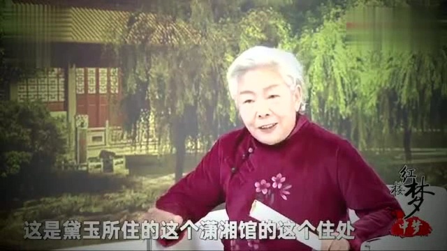 霍国玲:曹雪芹隐写历史?林黛玉身份揭秘,雍正宠妃还生了皇子?