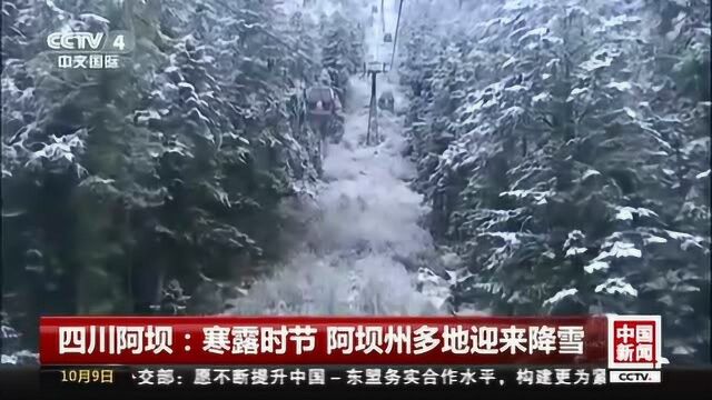 四川阿坝:寒露时节 阿坝州多地迎来降雪