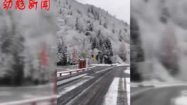 中国雪乡下雪啦!银装素裹宛如童话世界