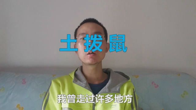 经典老歌《土拨鼠》,贝多芬作曲,歌德作词,翻唱