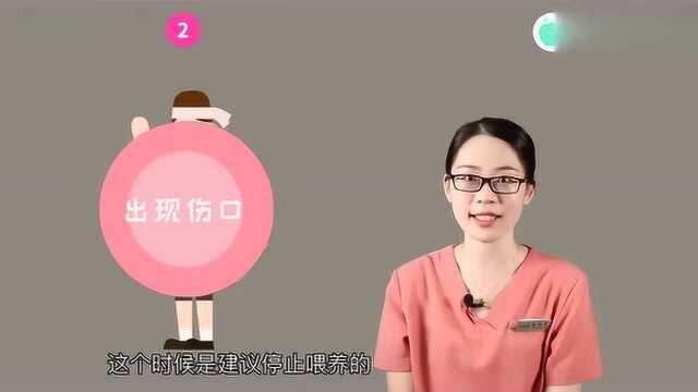 乳头皲裂怎么办?专业通乳师教你三招轻松解决