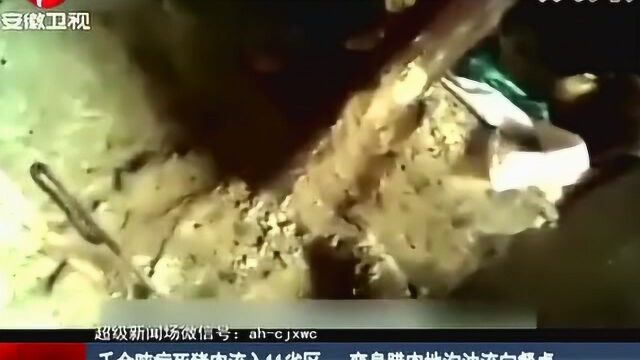 千余吨病死猪肉流入11省区,变身腊肉地沟油向餐桌