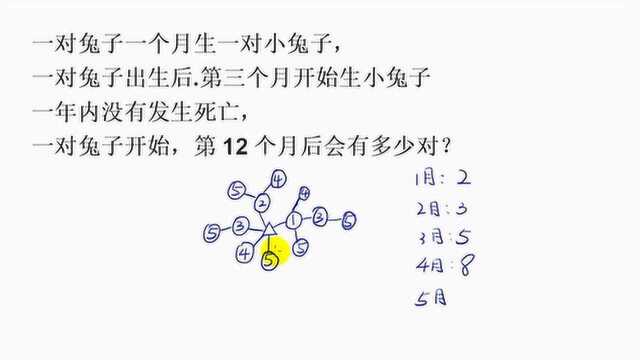 小学奥数:1对兔子1个月生1对小兔子, 第12个月后会有多少对?