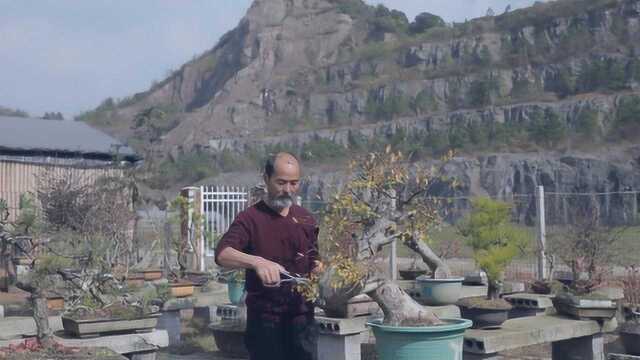 浙江湖州“花痴”一生专注一件事 将废弃矿山改造成花园