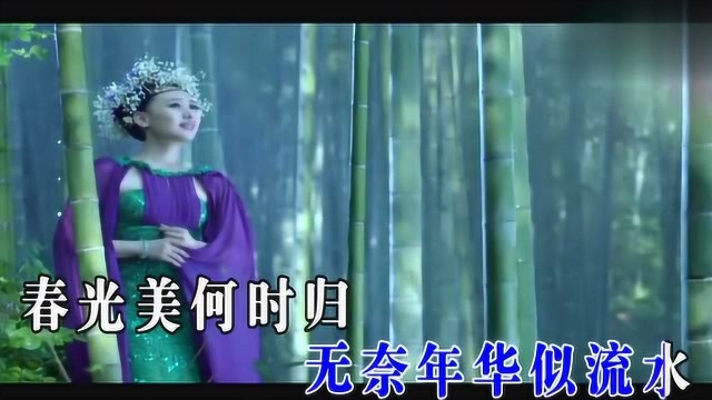 一首《殇花》,一寸相思一寸灰,肠断心碎泪成冰