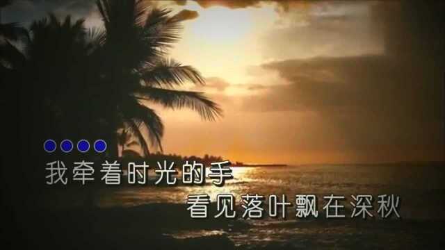 崔忠华《只为你邂逅》KTV 歌词版