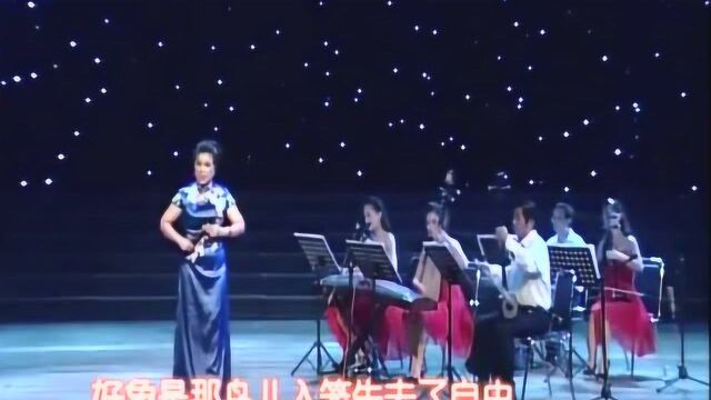 坠子名家陈梅生演唱赵派坠子《夜明珠传奇》选段