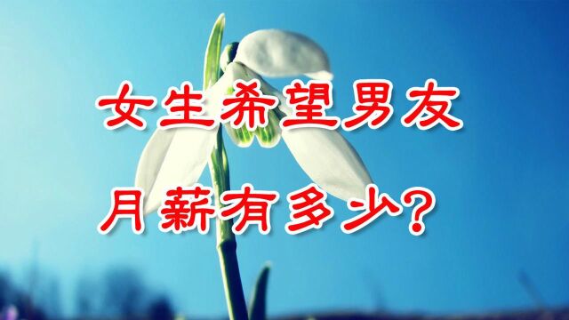 女生希望男朋友的月薪有多少?