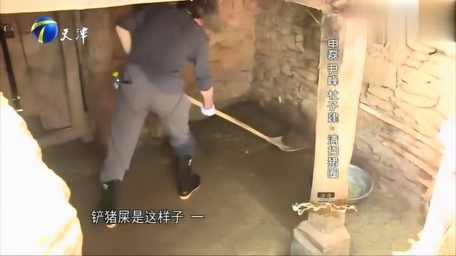 老板变形记:杜子建手法还是很专业的,但申磊吐槽老杜太爱显摆了