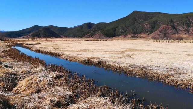 美丽的泸沽湖草海