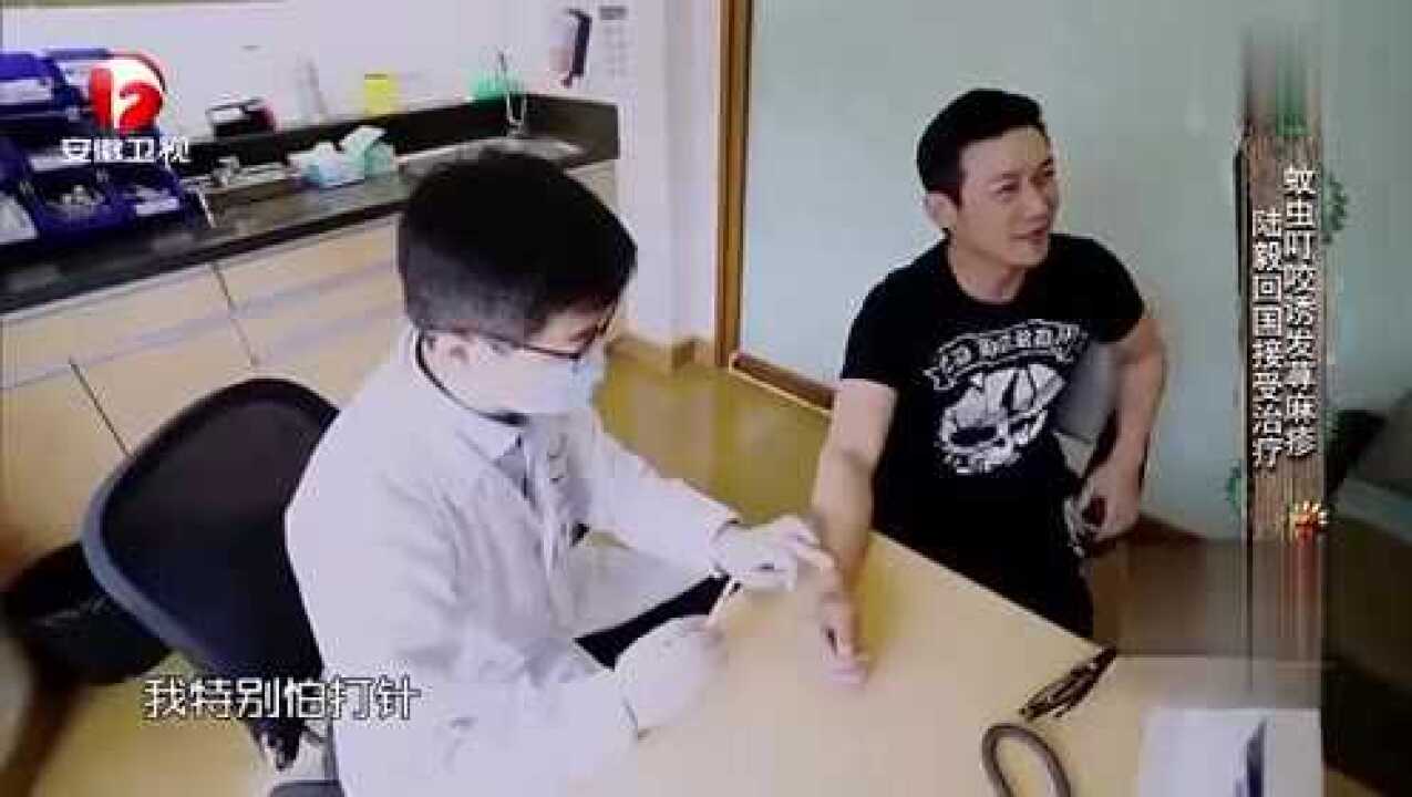 陆毅打针鲍蕾心疼到不敢看太可爱了