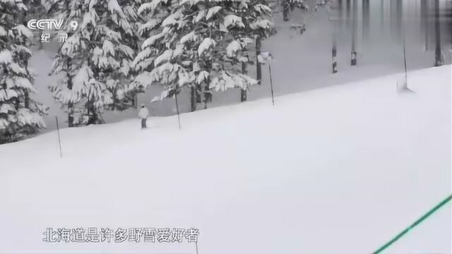 这里是作家川端康成笔下的雪国之都,是野雪爱好者的粉雪天堂!