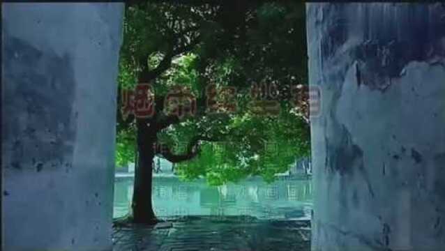 一曲《烟雨红尘泪》一生烟雨梦,一世红尘歌!