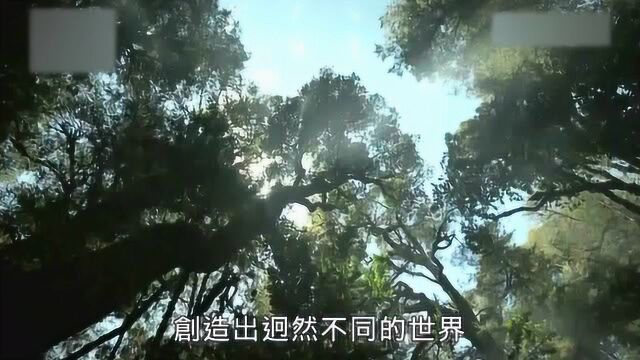 走进充满野性的巴塔哥尼亚