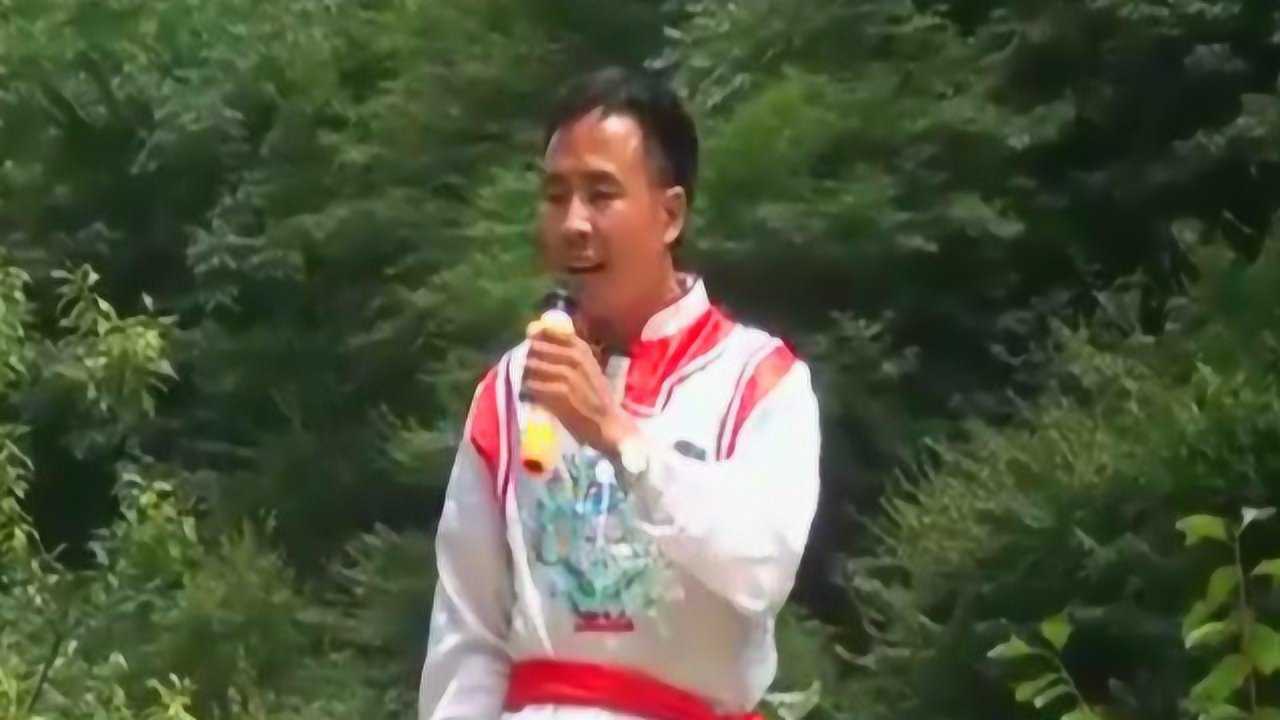 Thumbplayer Poster Plugin Image