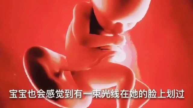 太可爱了:胎宝宝在妈妈肚子里的反应 四个月时就有了吸吮本领