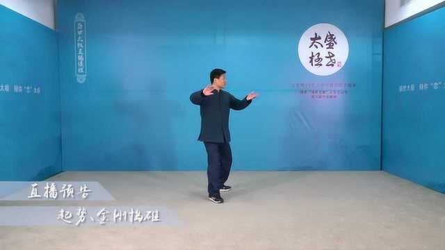 任明明老师陈氏太极拳9式01讲