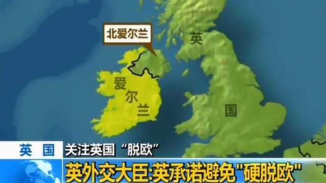 英外交大臣:英承诺避免“硬脱欧”