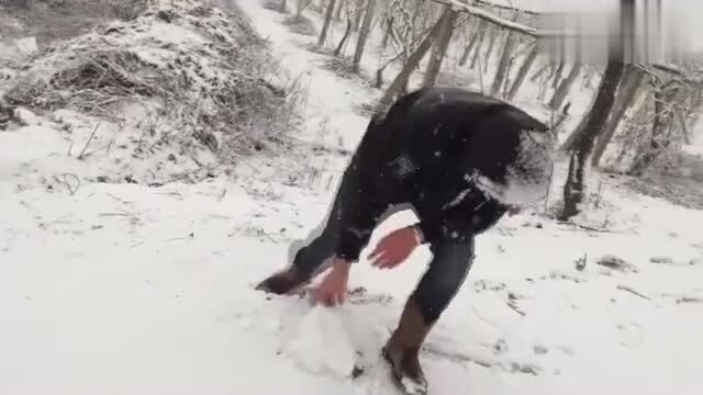 陕西农村下雪了,常年在外地的我们跑出来玩雪,回忆小时候!