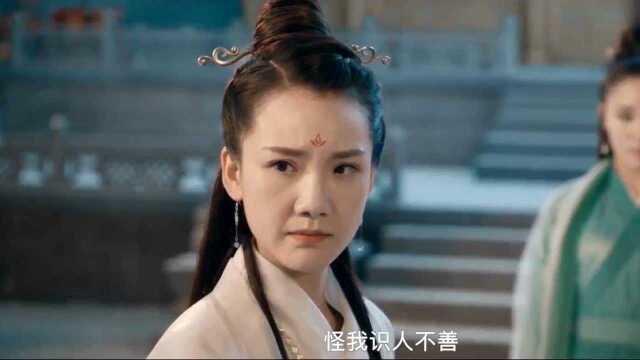 2018最新功夫力作《玉女掌门》看峨眉顶级杀阵围剿叛徒!