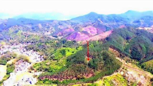 风水大师寻龙点穴,名震广西风水界的杀师地“猪肝夹胆”,穴位极佳!