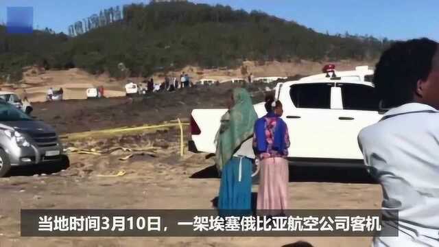 埃航失事客机坠毁现场曝光,157人全部遇难