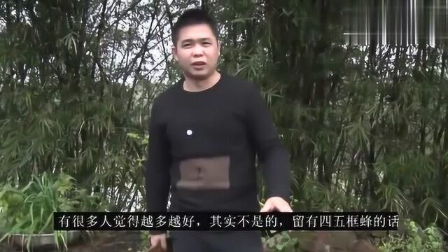 努力学会养“弱蜂群”做一个优秀的养蜂人,赶紧学起来吧!