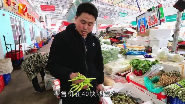 餐桌尝鲜“新宠儿”, 新鲜黄花菜悄然上市, 量少价高卖得少